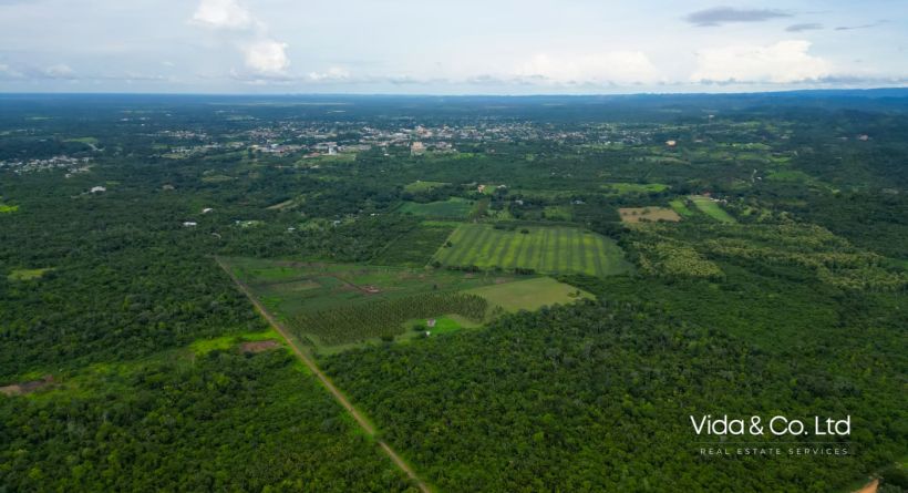 20-Acre Farm for Sale in Camalote - Prime Agricultural Land
