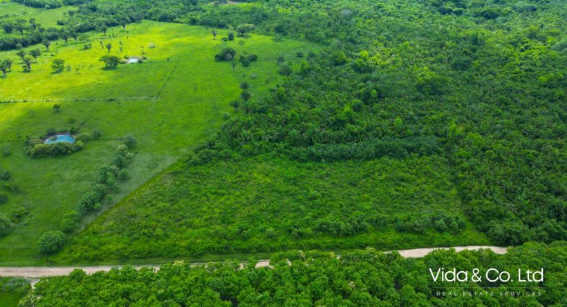 20 Acres Farm Land for Sale in Mount Hope, Belize