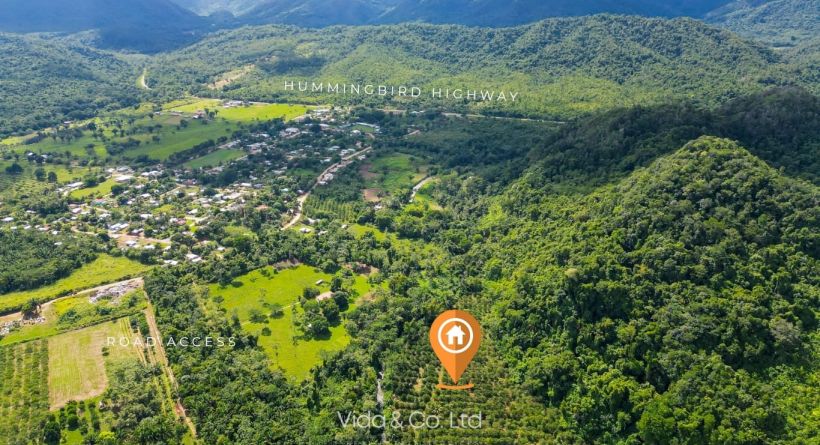 20-Acres Orchard Property for Sale in St. Margaret Village, Belize