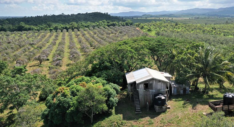 207acres near the Coastal Highway