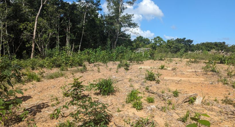 22 Acres Coastal Highway Property