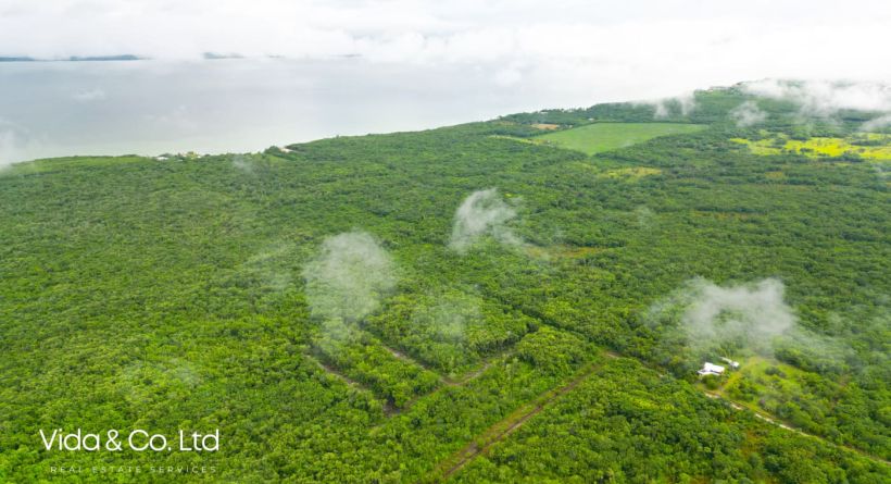 2278 Consejo Road Lot for Sale in Corozal – Close to Serenita Village