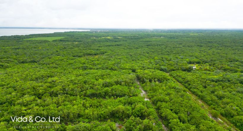 2291 Consejo Road Lot for Sale in Corozal – Close to Consejo Village