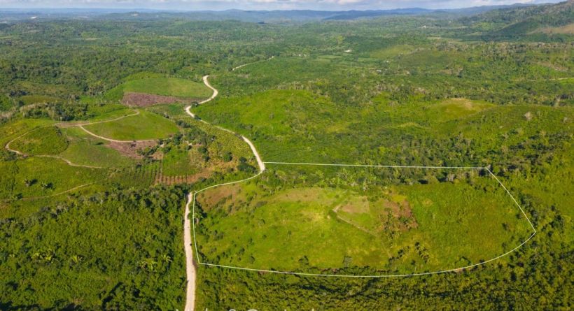 24 Acres of Cleared and Well Maintained Farm Land for Sale Near Arenal Village