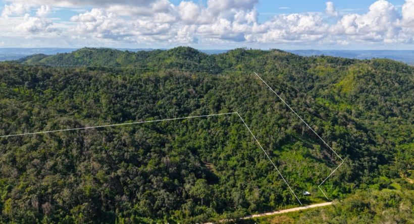24 Acres Hillview on Mollejon Road - Prime Belize Land for Sale