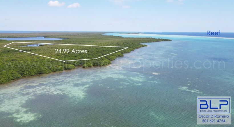 24.99 Acres on Eastern Turneffe
