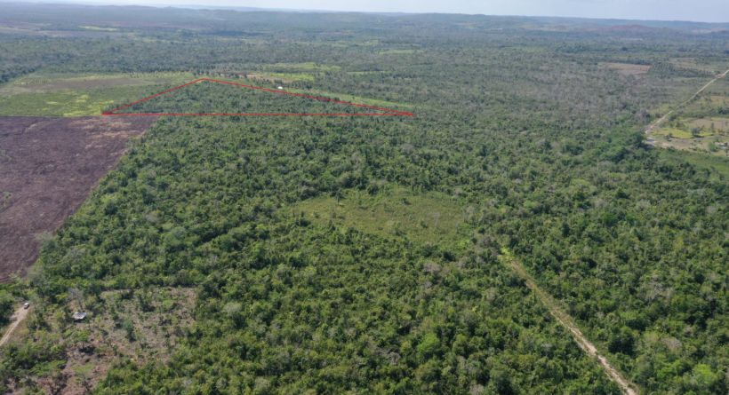 25 Acres of Farmland for Sale in Cayo District