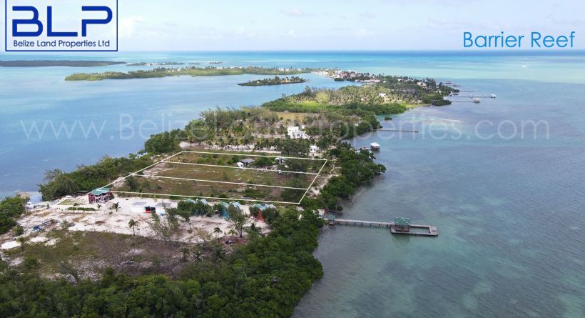 3 Beachfront Lots St. George's Caye, Belize