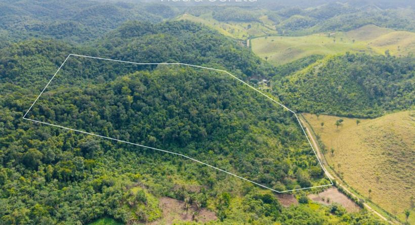 32 Acres of Pristine Land for Sale on Mollejon Road, Cayo District, Belize