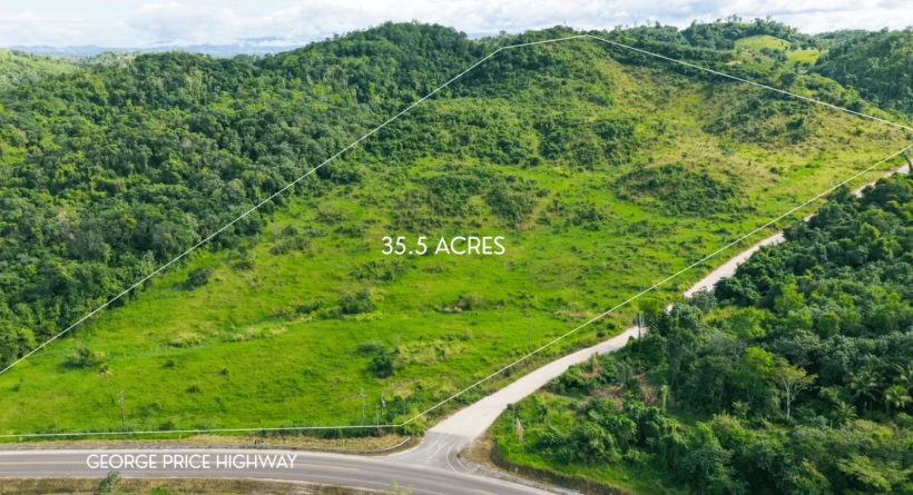 35.5 Acres of Prime Highway Frontage Land on George Price Highway, Cayo District, Belize