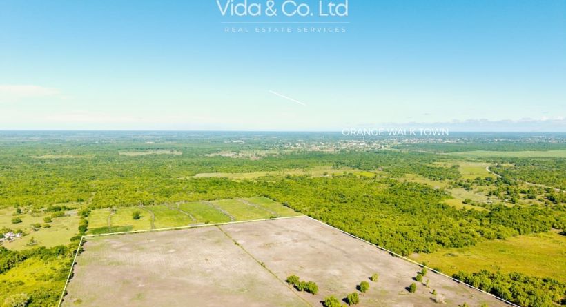 37.9 Acres of Farm-Ready Land for Sale in Orange Walk, Belize