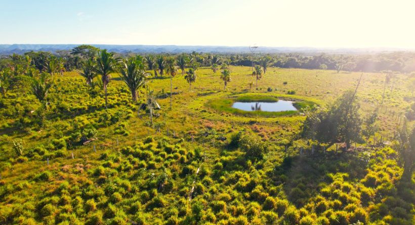 40 Acres Property Farmland