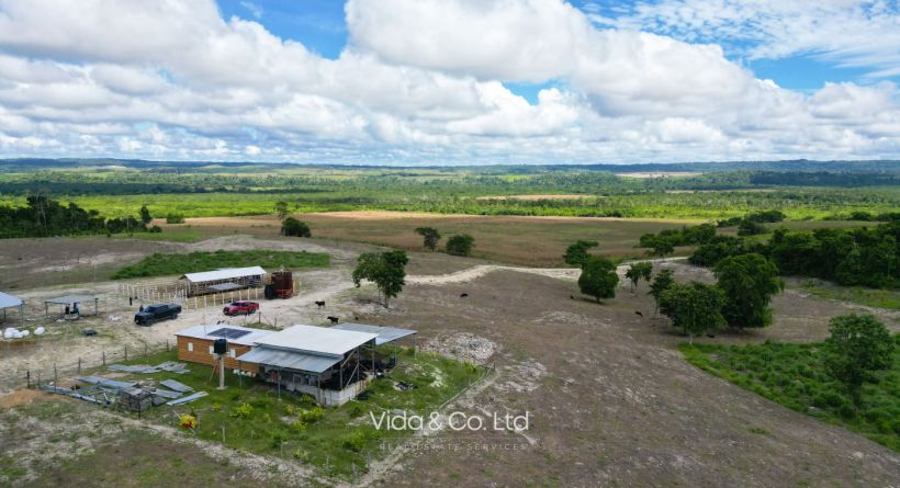 41 Acres Turnkey Cattle Ranch - Los Tambos, Cayo District | Farms for Sale In Belize