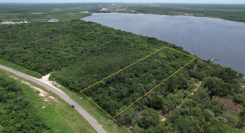 4.16 Acre Lush Wooded Lagoon Front Parcel in Four Mile Lagoon, Corozal