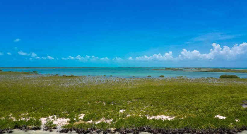 4.261 Acres of Hicks Caye Island For Sale in Belize