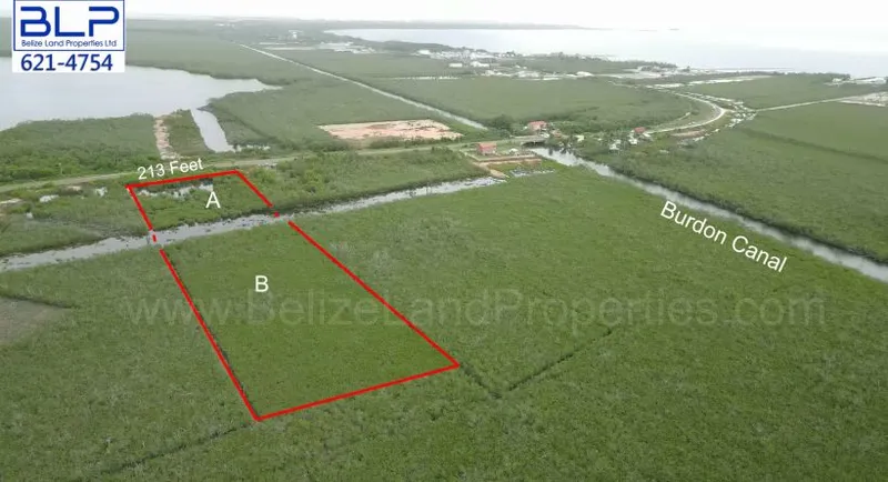 4.5 Acre Commercial Property, Mile 6.5 George Price Highway