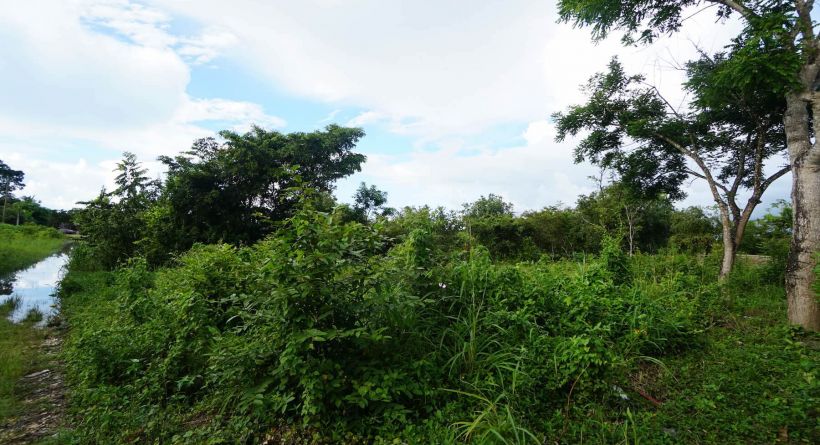 60ft x 100ft Starter Lot Along Happy Street- Belmopan City