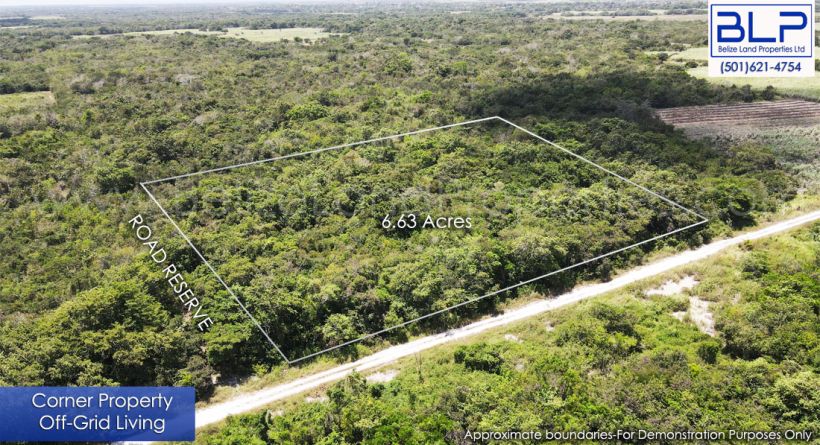 6.63 Acre Farmland for Sale