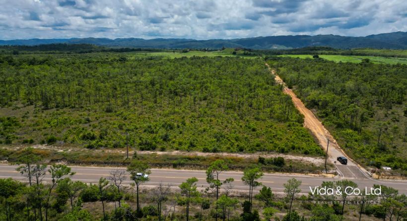 76 Acres For Sale on Coastal Road with Highway Frontage