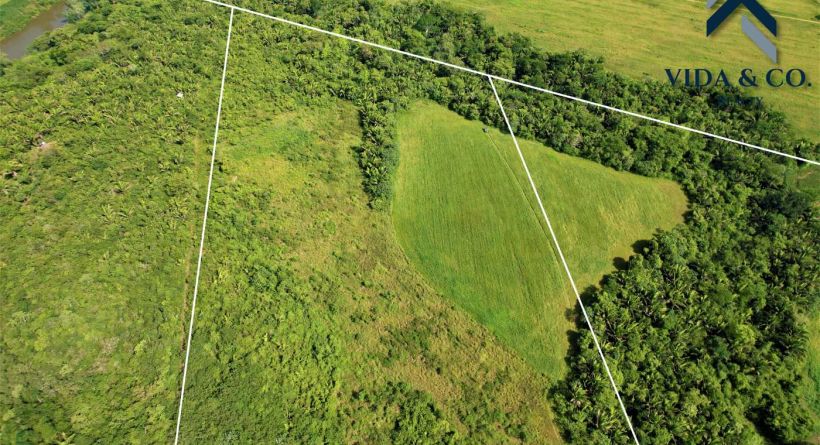 85.072 Acres Water Front for Sale in Billy White/Spanish Lookout Area