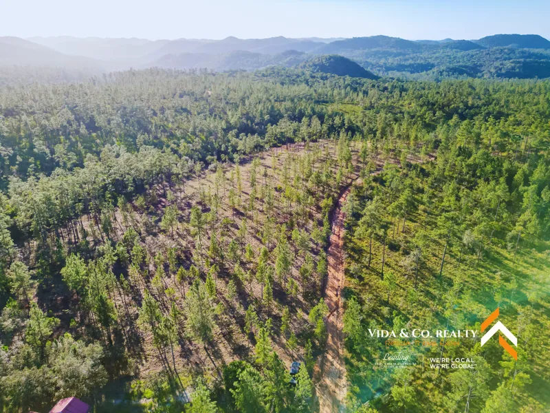 8.52 Acres of Land For Sale in Mountain Pine Ridge, Cayo