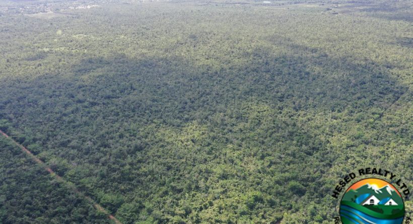 8,851.86-Acre Property Near Belmopan for Sale: A Golden Investment Opportunity