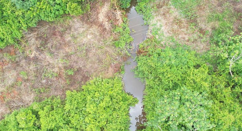 Acreages/Undeveloped Land/Vacant House Lots