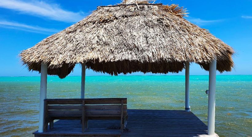 Affordable South Island Properties