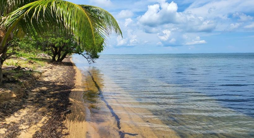 Amazing opportunity Coastal Highway Beachfront—selling quickly