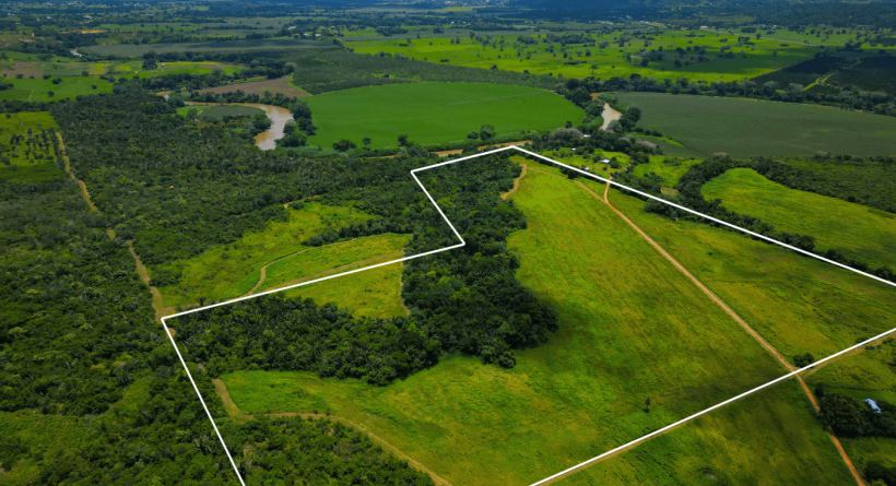 Belize Real Estate Farm Land For Sale 65 Acres