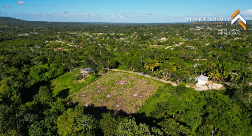 Bullet Tree Residential Lots For Sale
