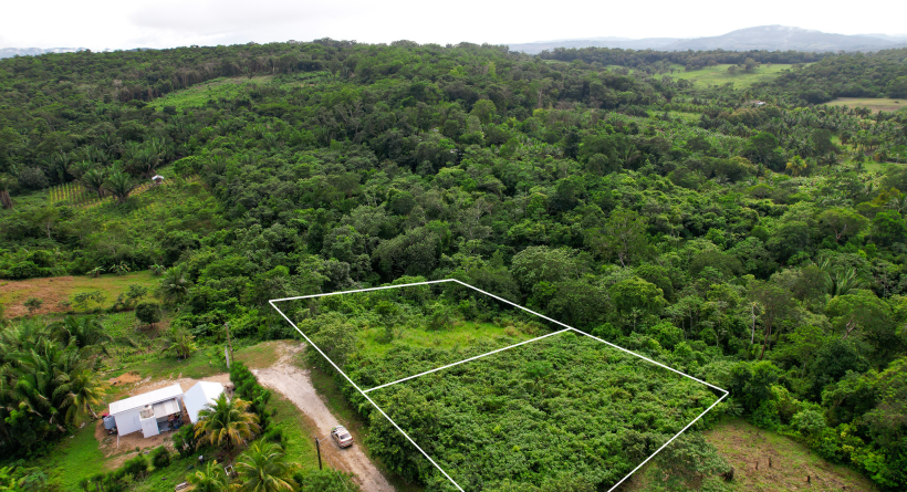 Bullet Tree Residential Lots For Sale