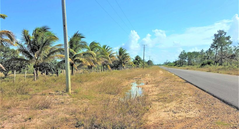 BZ126: CALL FOR AVAILABILITY AND PRICE! 3 BEDROOM HOME ON 99.809 ACRES, ISABELLA BANK! BELIZE RETIREMENT PROPERTY! BUY IN BELIZE!