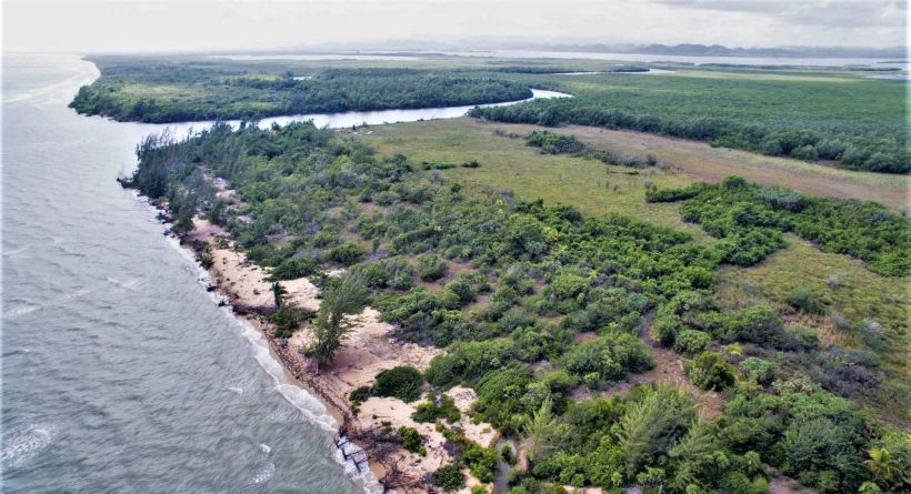 BZ141: PRISTINE 700 OF BEACH FRONT PROPERTY NORTH OF MANATEE BAR, BELIZE DISTRICT!