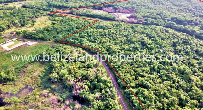 BZ150: +-122 ACRES 5 MILES FROM SANDHILL VILLAGE ALONG OLD NORTHERN HIGHWAY, BELIZE DISTRICT!