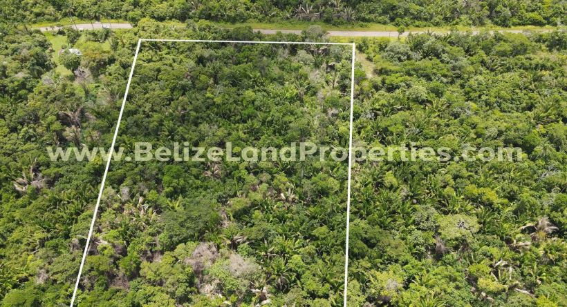 BZ154: FOR SALE! PACKAGE DEAL! 2 PROPERTIES 9.09 ACRES &amp; 10.58 ACRES IN BOSTON VILLAGE, OLD NORTHERN HIGHWAY, BELIZE DISTRICT! BELIZE FOR SALE!