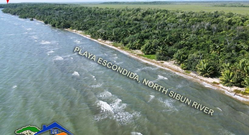 BZ163: 4 BEACHFRONT LOTS NORTH OF SIBUN RIVER, BELIZE DISTRICT! NEAR 4 CRUISE SHIP TERMINAL!