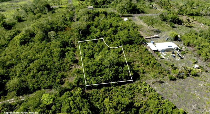 Charlie Anger Estate Near Bullet Tree Falls, Cayo – Lot 59