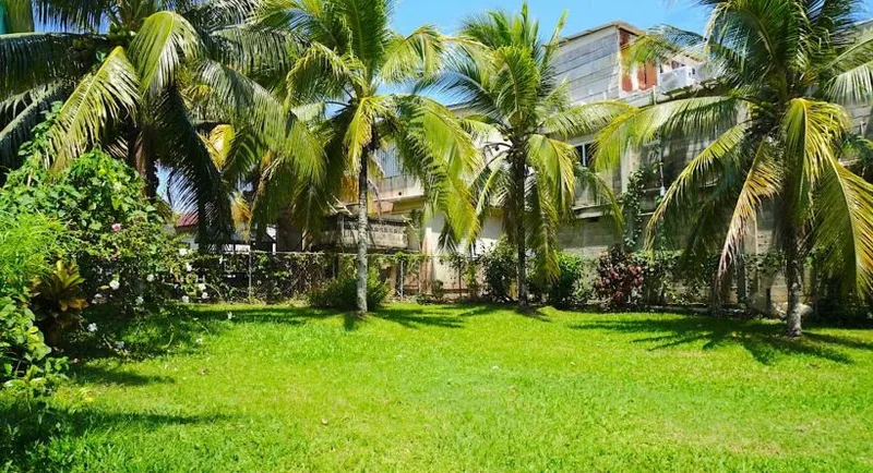 Commercial Building Ideal for Guesthouse or Offices in Punta Gorda, Toledo - Image 6