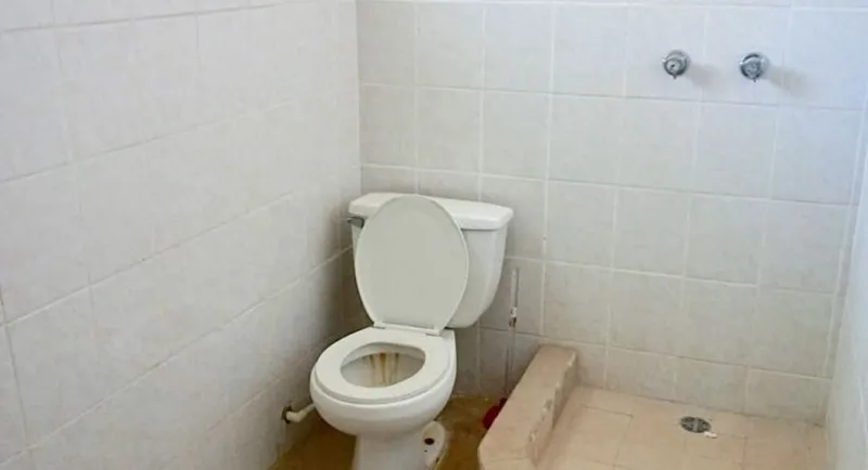 Commercial Building Ideal for Guesthouse or Offices in Punta Gorda, Toledo - Image 13