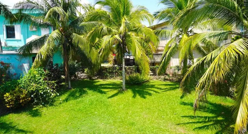 Commercial Building Ideal for Guesthouse or Offices in Punta Gorda, Toledo - Image 28