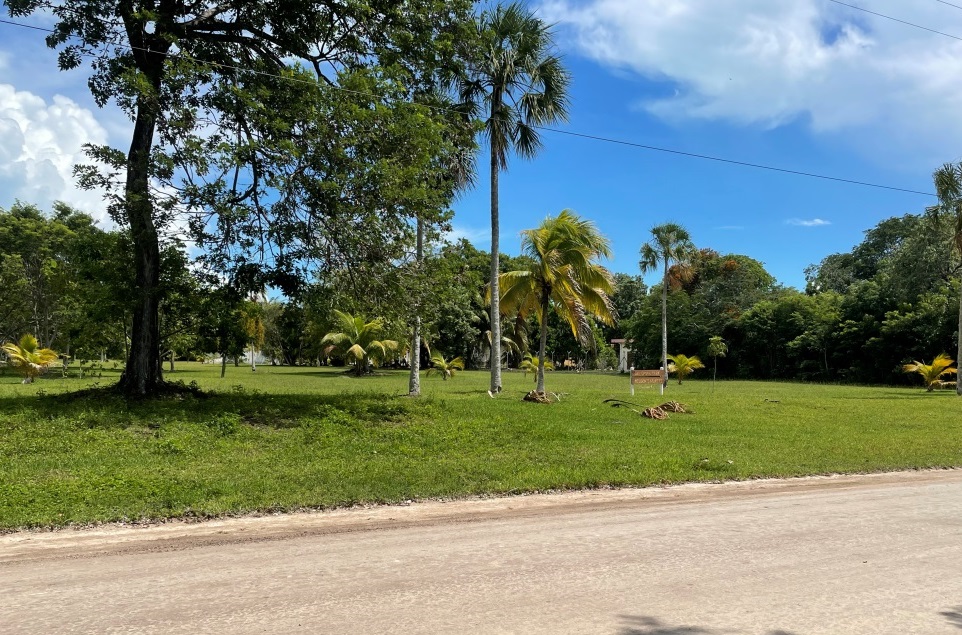 Consejo Shores – Beautiful 1/3-Acre Wooded Homesite on Jaguar Palms Drive