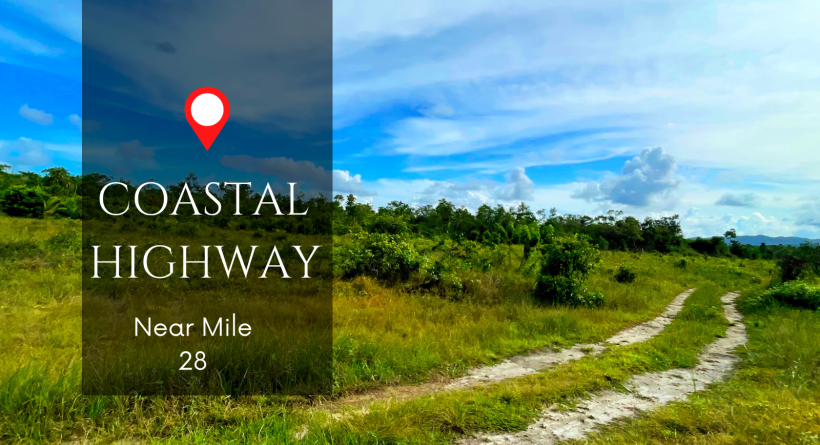 Farm Land for sale on Coastal Road, Belize
