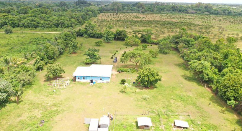 Farming Life in Belize - 15 Acres
