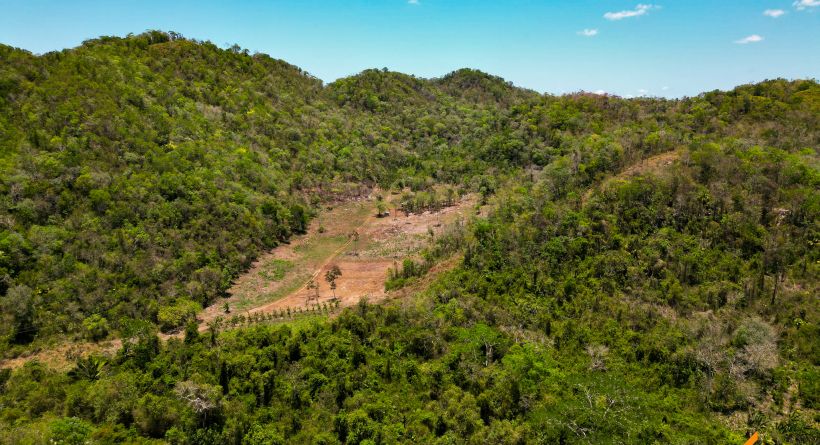 Farmland in Belize Property for Sale - Mollejon Road