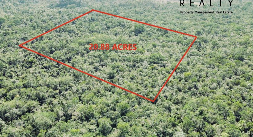Franks Eddy Agriculture Layout, Cayo District