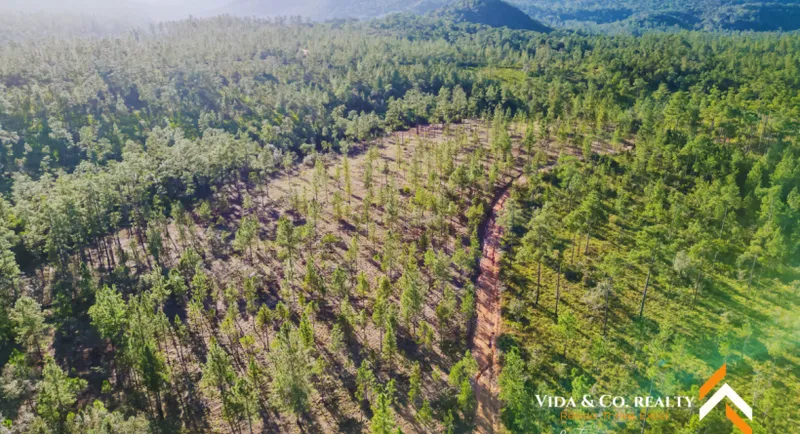 Off-Grid Paradise Land For Sale in Mountain Pine Ridge, Cayo!