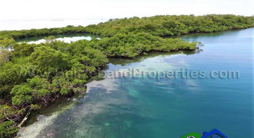 I09: 1.18 ACRE PRIVATE ISLAND OFF PLACENCIA PENINSULA! BELIZE REAL ESTATE
