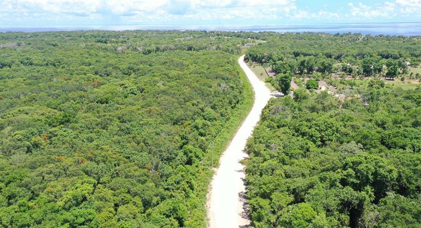 Investment Property/Farm Land/Ranches