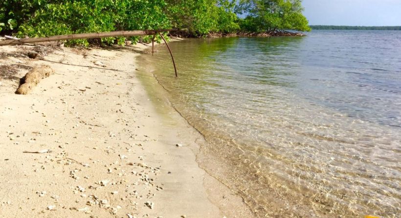 An Investors Dream! 15 acres of Beachfront South of Hopkins